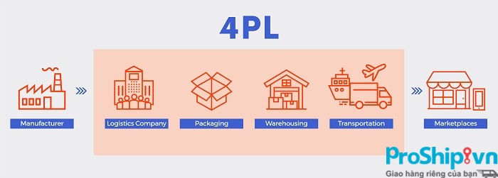 Sự khác nhau giữa 4PL và các loại dịch vụ logistics khác là gì?
