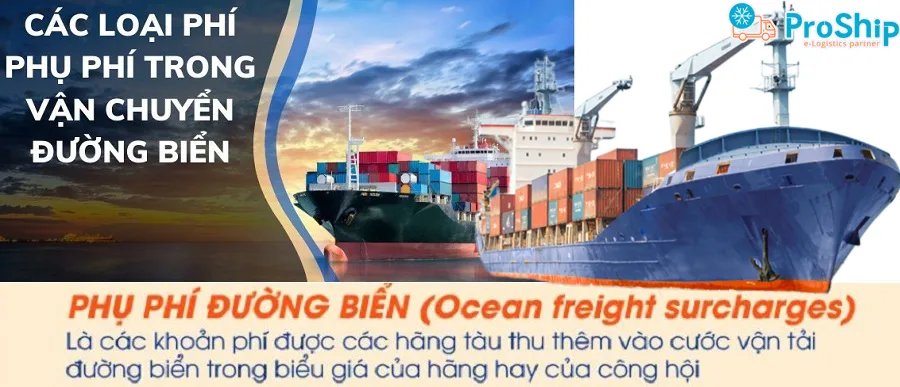 Các loại phụ phí trong vận chuyển Container đường biển