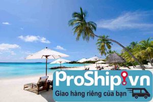 Công ty vận tải hàng hóa uy tín ở tại Nha Trang