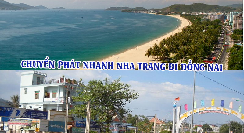 Dịch vụ chuyển phát nhanh từ Nha Trang đi Đồng Nai Dịch vụ chuyển phát nhanh từ Nha Trang đi Đồng Nai