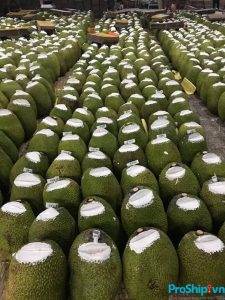 Dịch vụ vận chuyển hàng nông sản toàn quốc