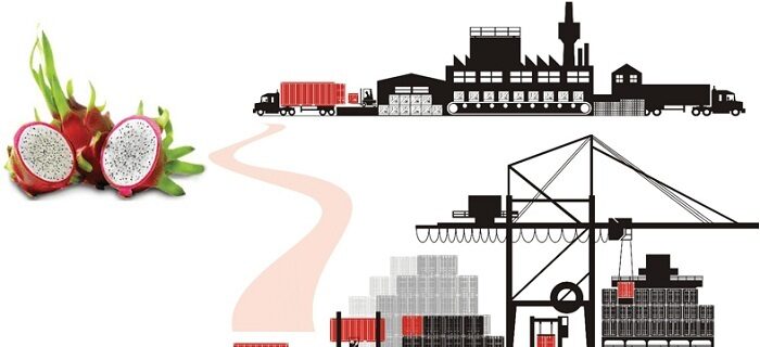 Dịch vụ vận chuyển Thanh Long bằng Container Lạnh giá rẻ