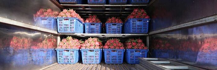 Dịch vụ vận chuyển Thanh Long bằng Container Lạnh giá rẻ