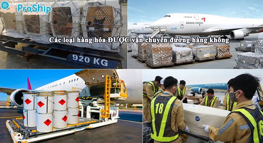 Types of goods transported by air