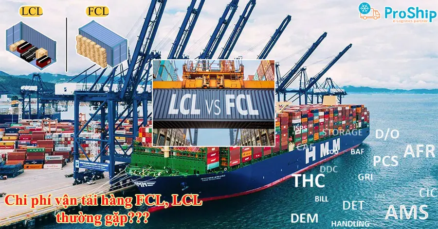 Hàng LCL và FCL là gì? Đánh giá mức độ khác nhau của hàng LCL và FCL