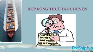 Hợp đồng thuê tàu vận chuyển chi tiết và những quy định người thuê cần nắm rõ