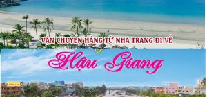 Lưu bản nháp tự động