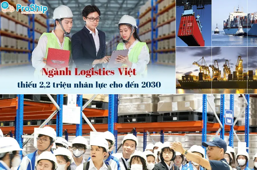 Find out the current human resource needs in the Logistics industry