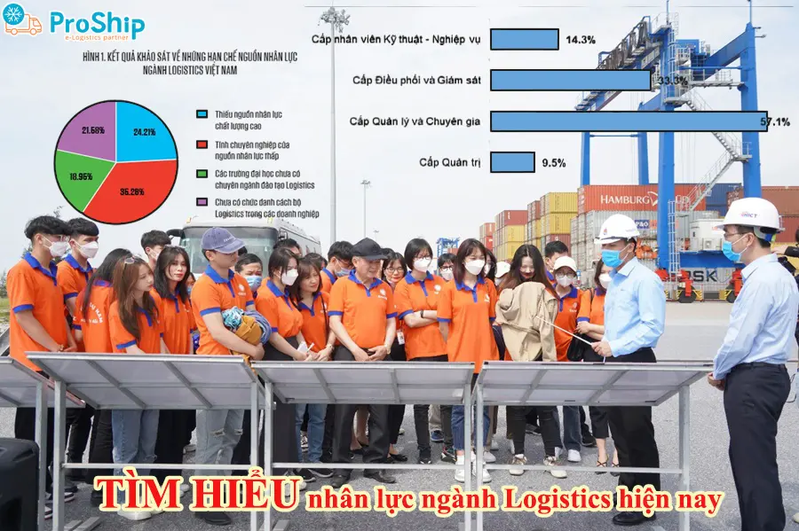 Tìm hiểu nhu cầu nhân lực ngành Logistics hiện nay