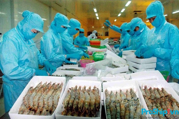 Những quy định, tiêu chuẩn xuất khẩu tôm sang Trung Quốc hiện nay