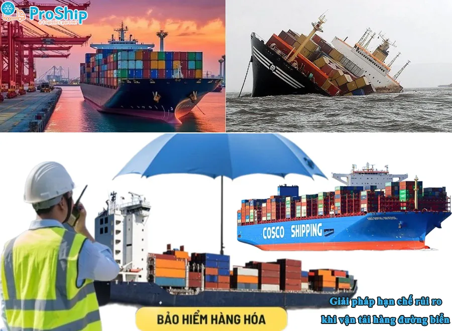 Những rủi ro phổ biến trong vận chuyển hàng hóa đường biển