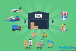 So sánh 3PL và 4PL. 3PL và 4PL có những điểm khác nhau và giống nhau thế nào?