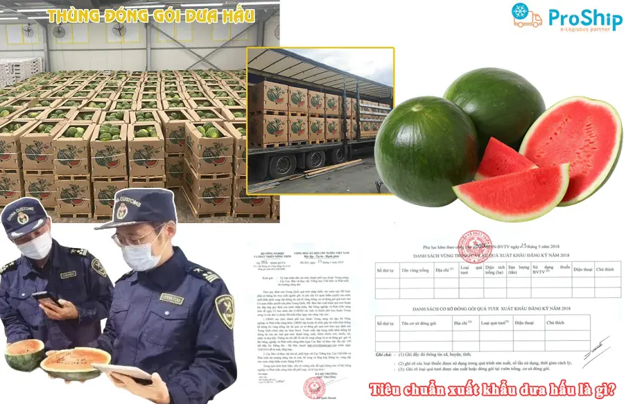 Current standards for exporting watermelon to other countries