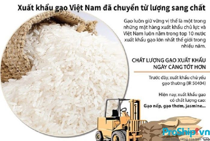 Những quy định, tiêu chuẩn xuất khẩu gạo sang Trung Quốc hiện nay