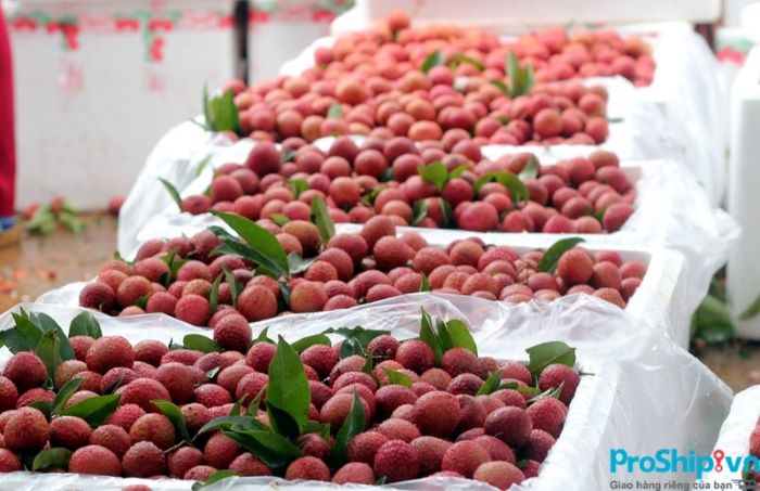 Current standards for exporting fresh lychees to foreign markets