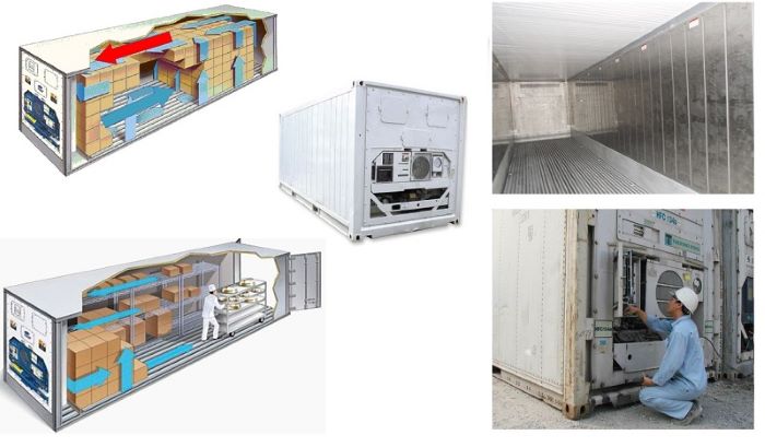 Dịch vụ vận chuyển container lạnh xuất khẩu sang Trung Quốc