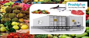 Dịch vụ vận chuyển trái cây, hoa quả, thực phẩm Bắc Nam