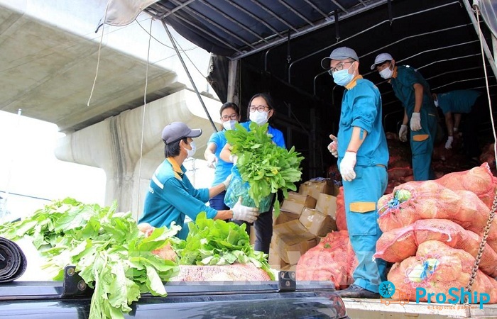Dịch vụ vận chuyển rau củ số lượng lớn bằng Container lạnh vào Sài Gòn