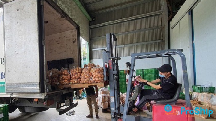 Dịch vụ vận chuyển rau củ số lượng lớn bằng Container lạnh vào Sài Gòn