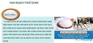 Hạn ngạch thuế quan là gì? Loại hàng hóa nào được áp dụng?