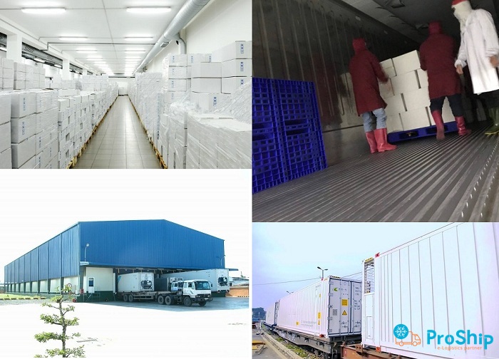 What is cold storage? What type of goods should be stored in cold storage 