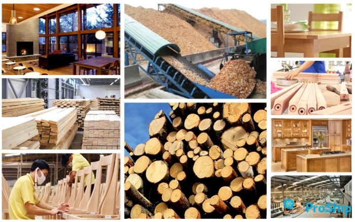 Tìm hiểu chi tiết thủ tục nhập khẩu gỗ về Việt Nam năm 2023