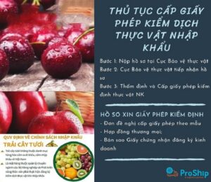 Tham khảo qua thủ tục nhập khẩu trái cây tươi về Việt Nam chi tiết nhất