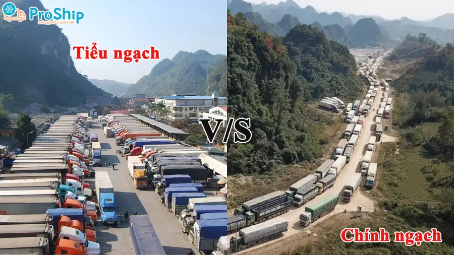 Tiểu ngạch là gì? Tìm hiểu quy trình vận chuyển tiểu ngạch