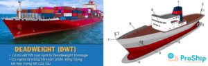 DWT là đơn vị gì? 1 dwt bằng bao nhiêu tấn? Tính thế nào?