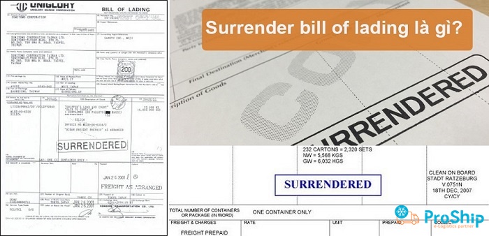 Surrendered Bill Of Lading là gì? Có vai trò và nhiệm vụ gì?