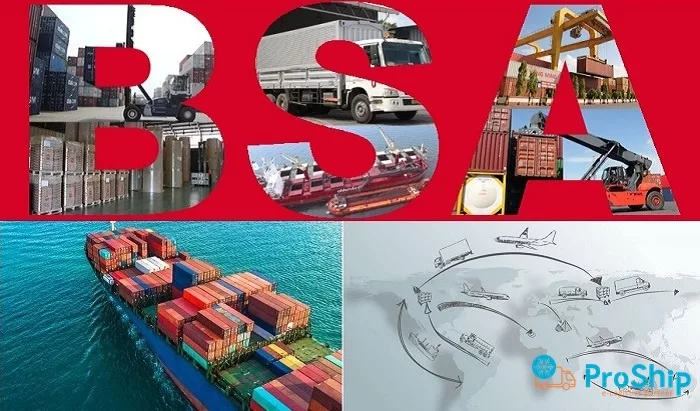 What is BSA in logistics? Share all information related to BSA 