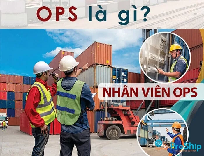 Tại sao bộ phận OPS quan trọng trong các công ty vận chuyển và logistics?