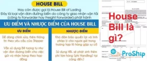 House Bill là gì? Tất cả thông tin liên quan tới House Bill