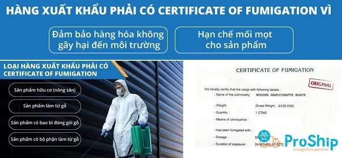 Fumigation Certificate là gì? Thủ tục cấp như thế nào?