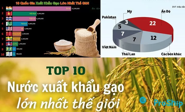 Điểm danh những nước xuất khẩu gạo lớn nhất thế giới hiện nay