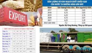 Tìm hiểu Tiêu chuẩn xuất khẩu gạo sang Châu Âu, Châu Phi hiện nay