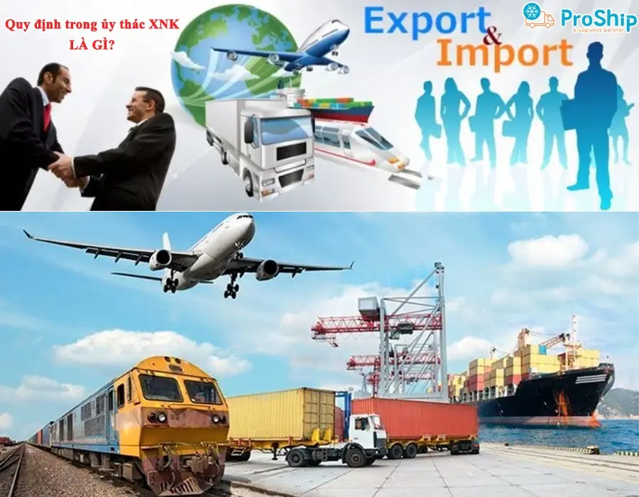 What is an import and export mandate? What are the main regulations?