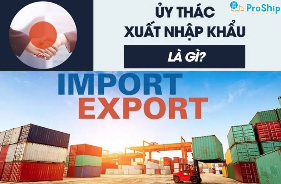 What is an import and export mandate? What are the main regulations?