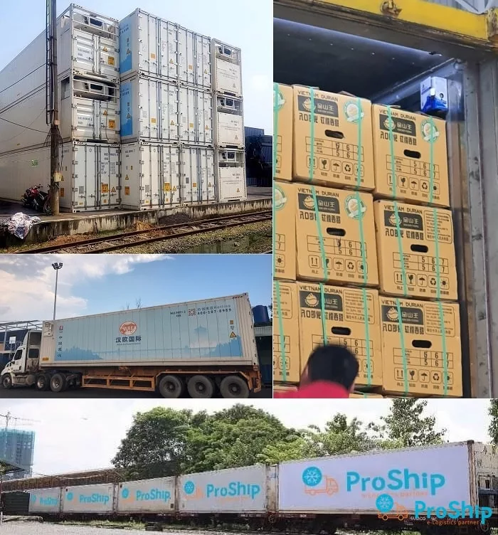 Proship nhận xuất khẩu Sầu Riêng sang Trung Quốc trọn gói từ A-Z
