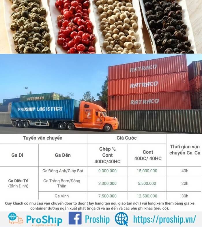 Prices for transporting Gia Lai pepper to the northern border gate in detail in 2023