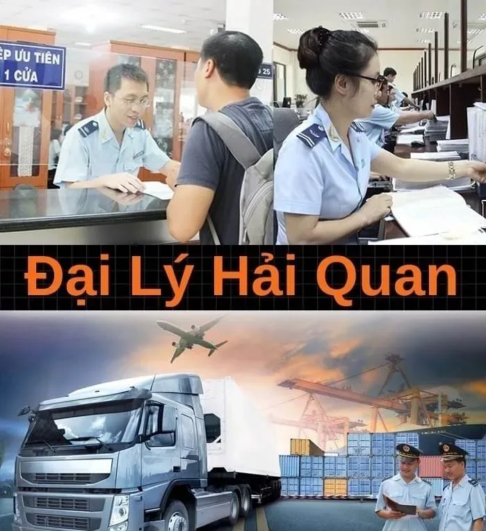 Proship - Đại lý khai báo Hải quan uy tín, nhanh chóng và chuyên nghiệp