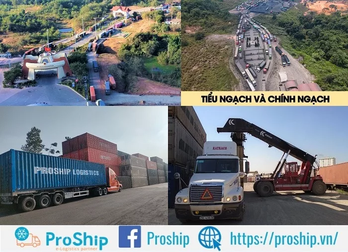Proship nhận vận chuyển Container từ Đà Nẵng đi Pakxe trọn gói từ A-Z