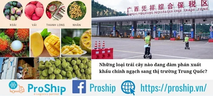 Các loại trái cây của Việt Nam được nhập khẩu vào Trung Quốc năm 2023