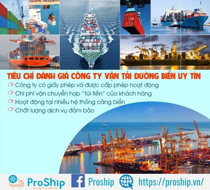 Top 15 best domestic and international shipping companies in 2024