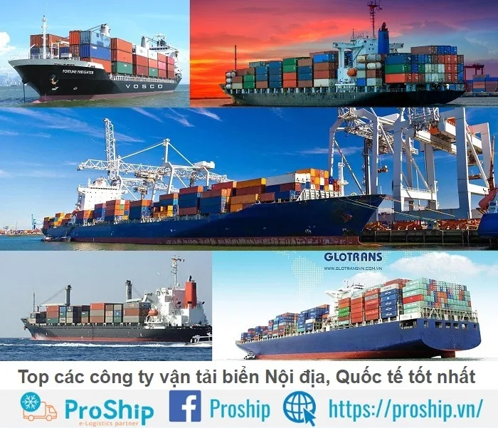 Top 15 best domestic and international shipping companies in 2024