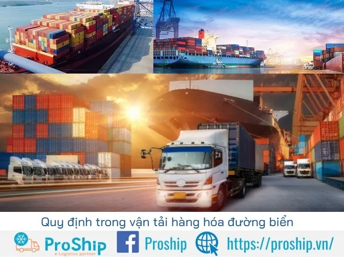 Top 15 best domestic and international shipping companies in 2024