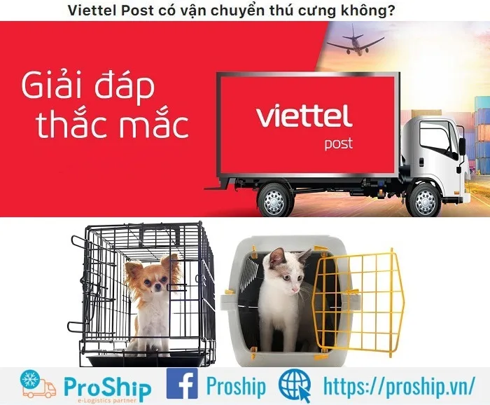 Viettel post có vận chuyển thú cưng không? Đơn vị vận chuyển thú cưng uy tín