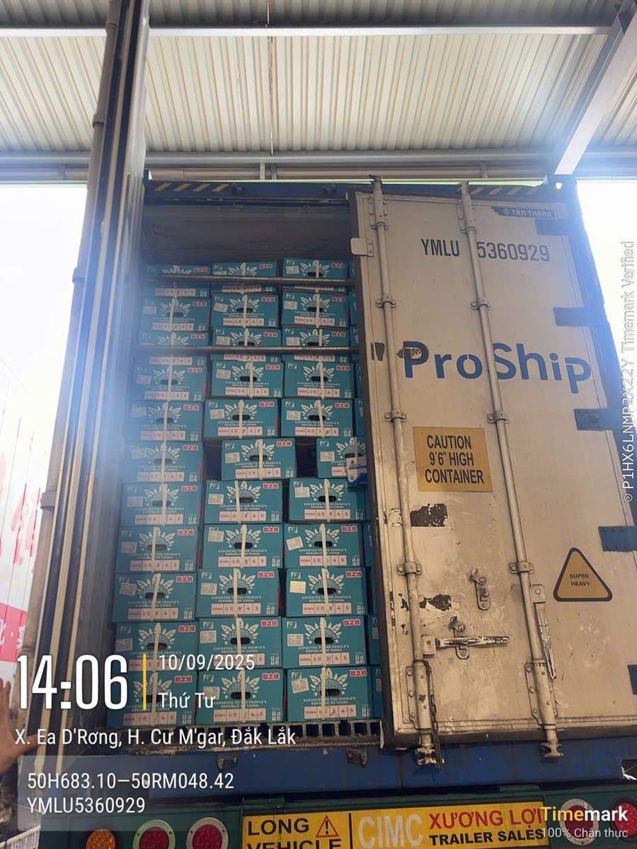 Xe container Proship