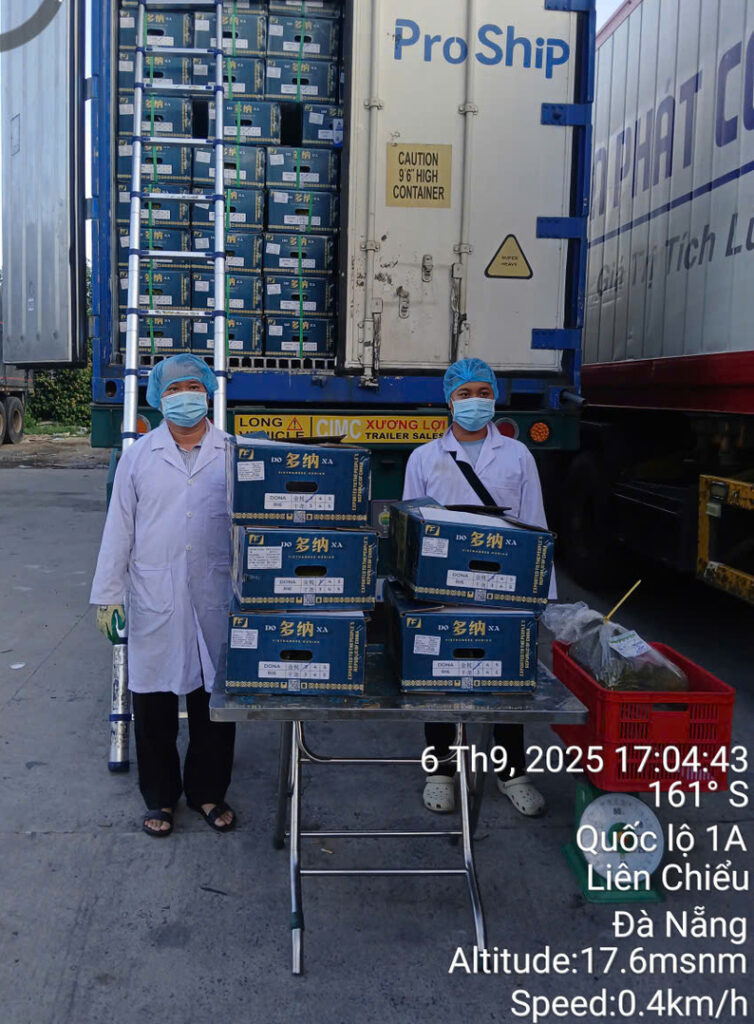 Xe container Proship