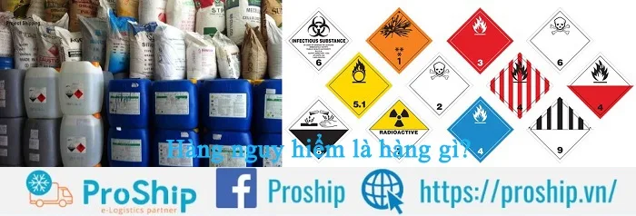 What are the regulations for transporting dangerous goods by sea?